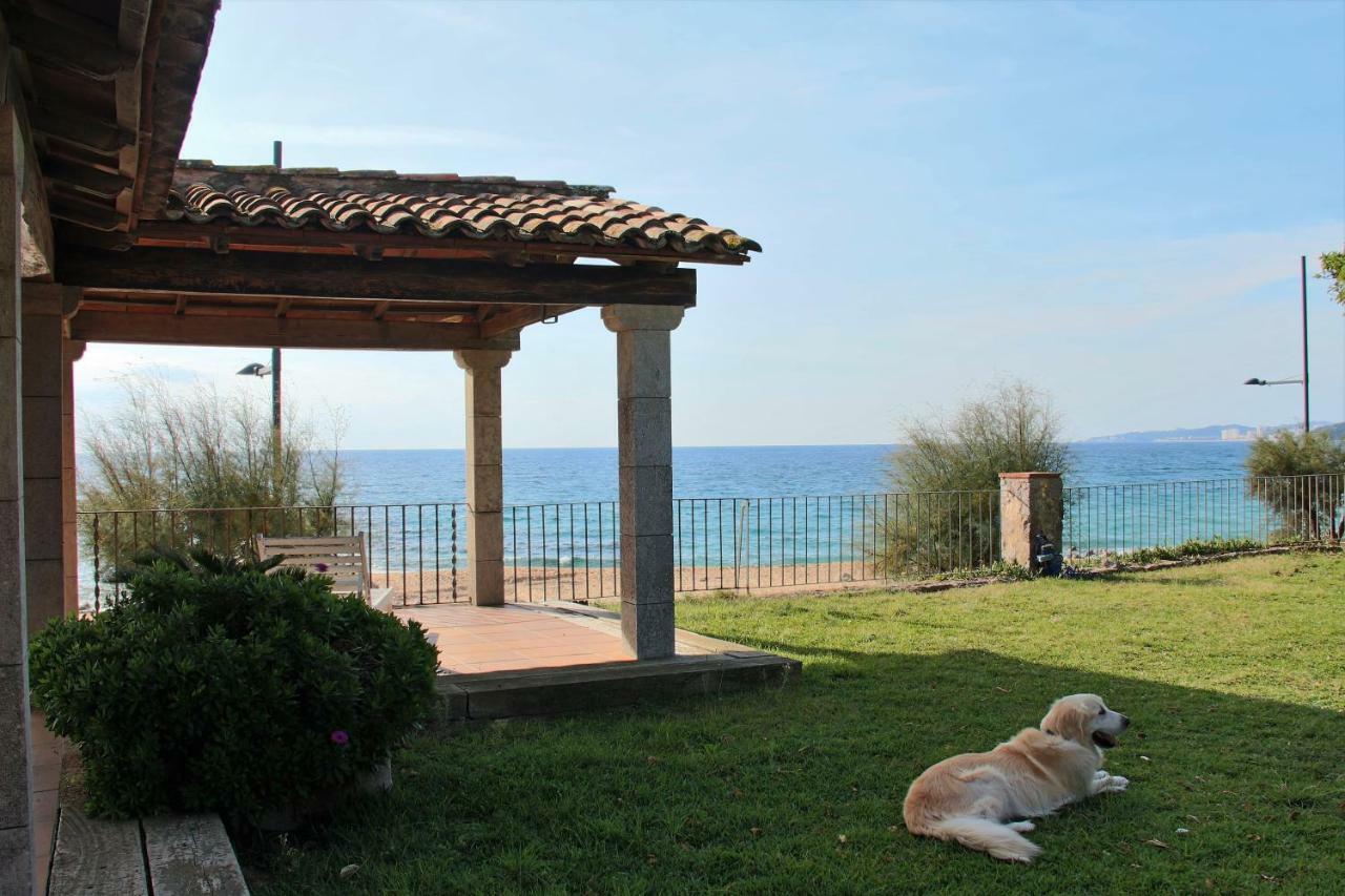 Villa Ancora Vella Sant Antoni De Calonge Exterior foto